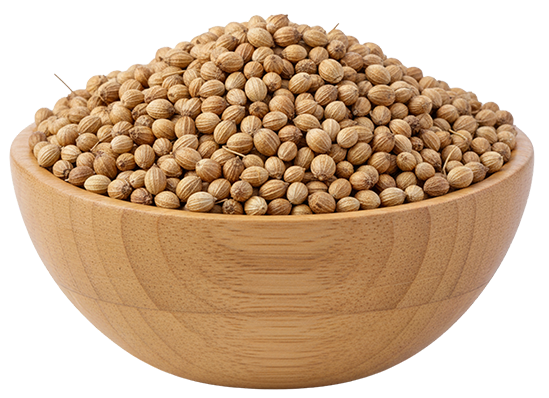Coriander-Seeds